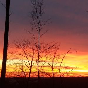 Meet your Posher, Freda